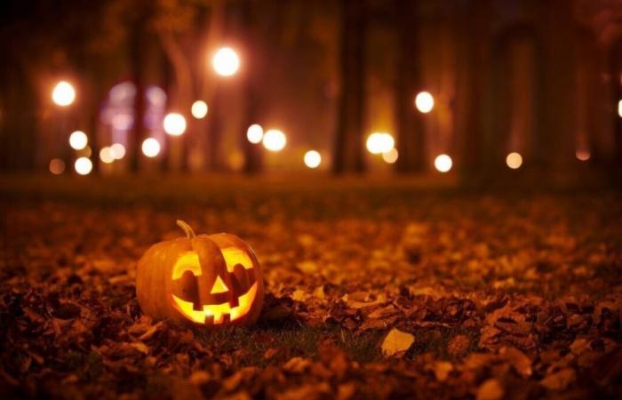 the prefecture takes measures to guarantee public safety as Halloween approaches