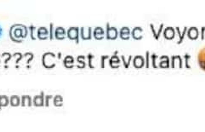 A Télé-Québec program strongly singled out