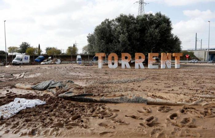 Valencia – floods: Flashscore Interview – Marta Peiró: “A lot of rage because nothing was anticipated for the population”