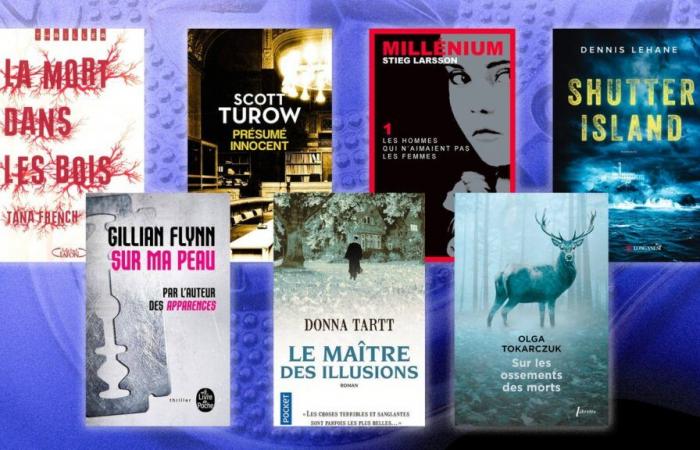 Books: the best thrillers that will blow your mind with their twists and turns