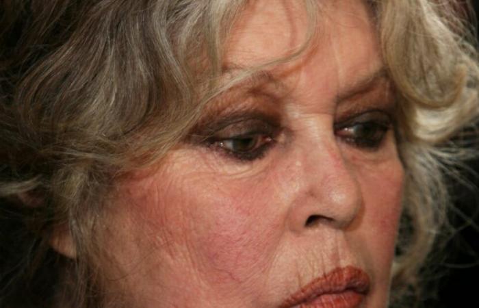 Brigitte Bardot: Her Madrague shelter damaged, “I’ve never seen that”