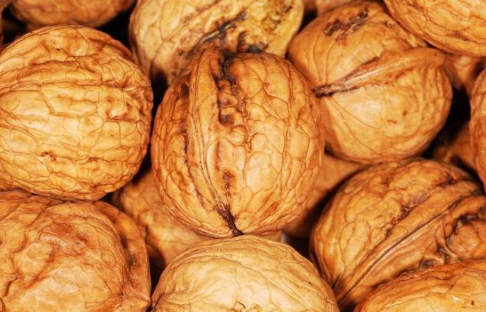 “It’s quite simply a massacre”: Lot walnut producers disappointed by their low harvest