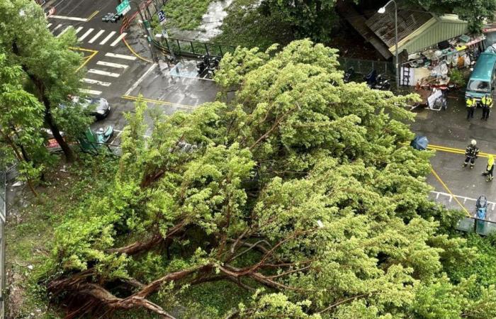 Powerful storm leaves at least one dead, 73 injured in Taiwan