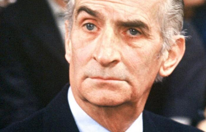 Louis de Funès: The icon's daughter is far from unanimous, we explain why