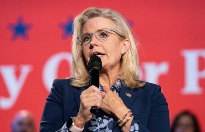 Donald Trump suggests pointing a gun at Liz Cheney, pro-Harris Republican responds