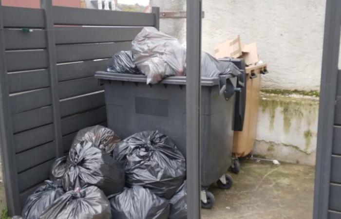 This commune in Orne will save 10,000 euros per month on waste collection