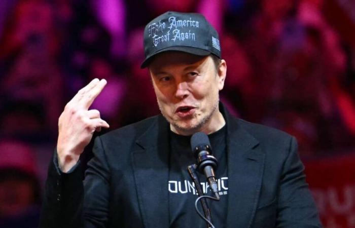 Drawing of a million per day: Elon Musk will be able to maintain his lottery in key states