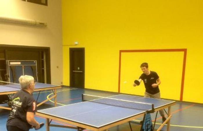 Table tennis begins its 7th season