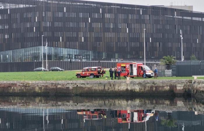 Le Havre. A body recovered from the Vauban basin