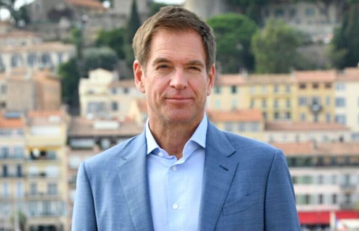 Michael Weatherly (NCIS) recommends these three little-known series in France