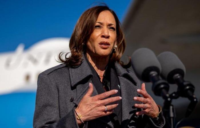 According to Kamala Harris, Donald Trump's verbal violence “disqualifies” him for the White House