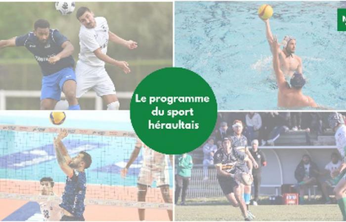 Coupe de France, athletic strength, volleyball… Ask for the program of Hérault clubs this weekend