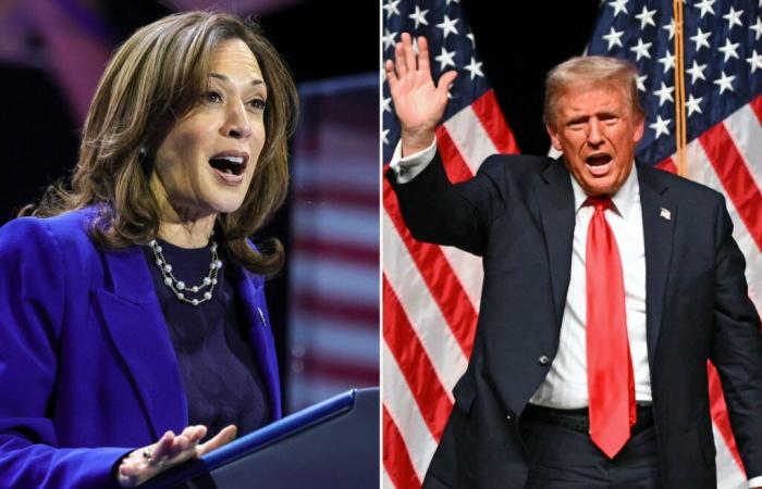 Trump or Harris? The results of the polls on D-4 of the election