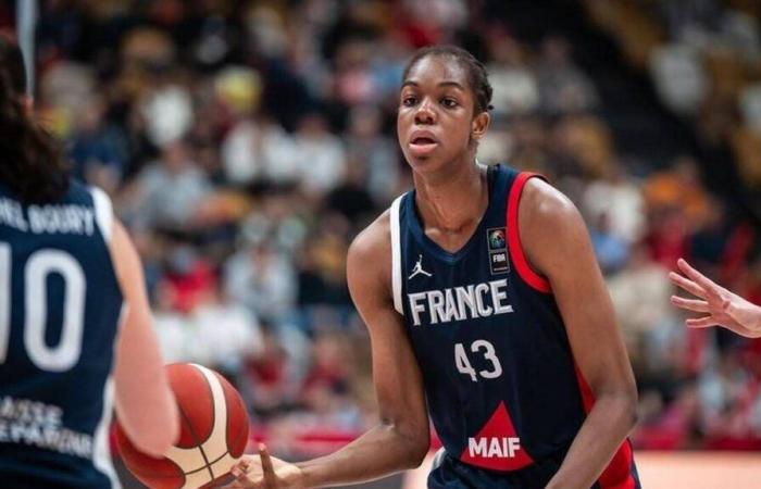 Dominique Malonga, a luminous dunk for French basketball