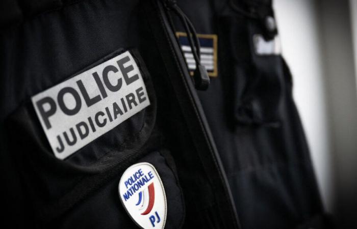 Grenoble, Clermont-Ferrand, Villeurbanne: one dead, two injured and people wanted after a night of violence