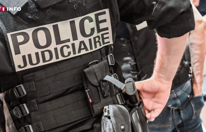 LIVE – Poitiers: five injured in a shooting during a brawl involving between “400 and 600 people”