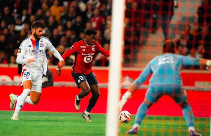 LOSC-OL (1-1): the Mastiffs let go of their prey at the end of the match