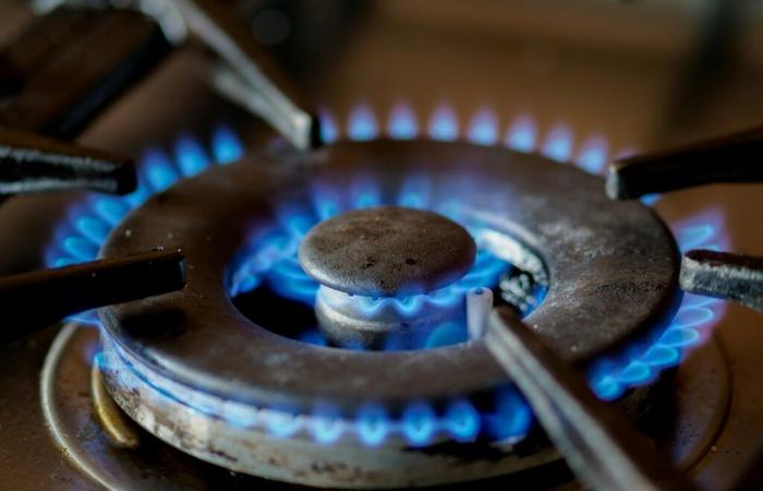 Gas stoves involved in 40,000 premature deaths annually in Europe