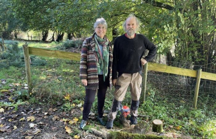 La Folêterie, an extraordinary garden in Orne sculpted with love for 30 years