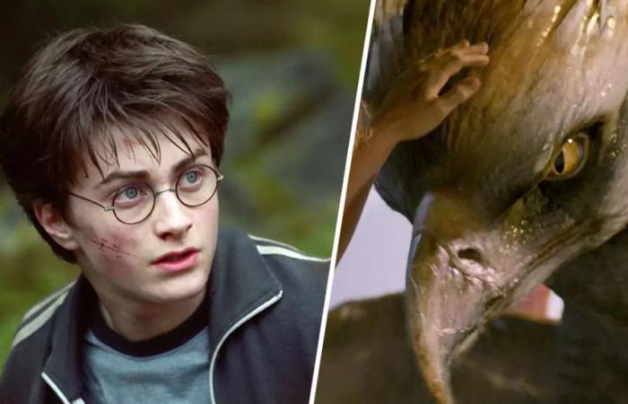 Harry Potter fans unbothered over official cancellation – Harry Potter