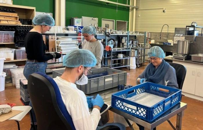 In Eure, Optimale Cosmétalogie Innovation manufactures products made in Normandy