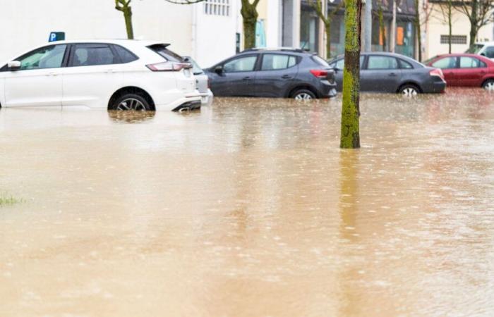 Dramatic floods in Spain, the Secours populaire du Territoire de Belfort launches an appeal for donations