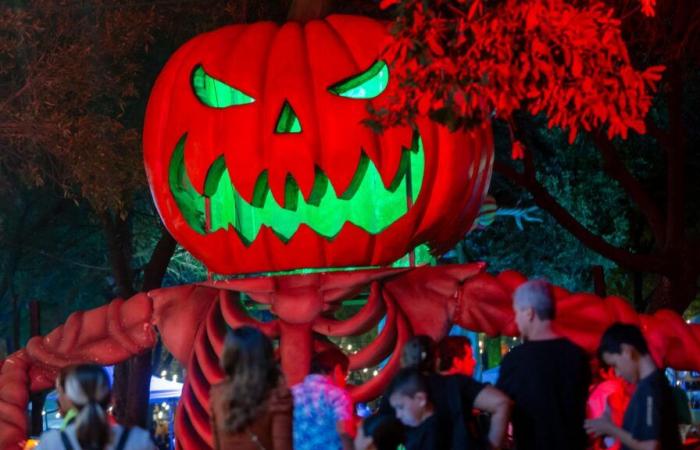 Halloween night in Dublin turns into chaos because of a bad prank