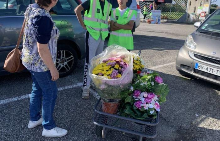 “These young people are very nice”: teenagers carry flower pots to the Romans-sur-Isère cemetery