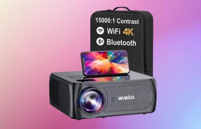 Crazy offer or price error on this mini full HD video projector?