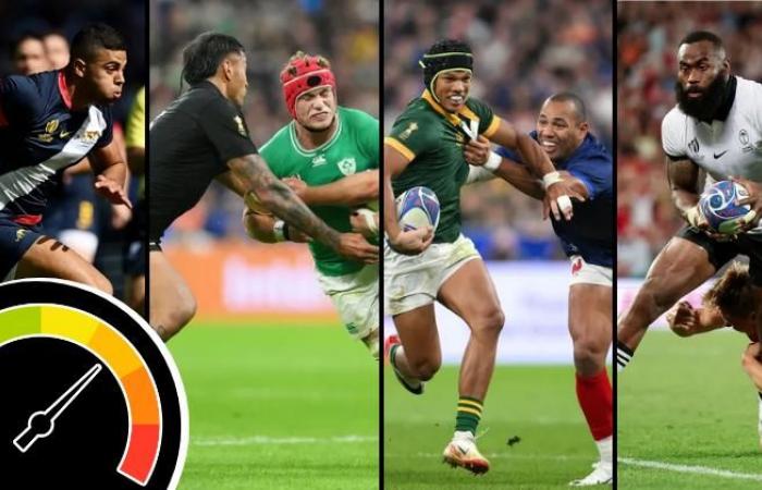 RUGBY. France, Ireland, New Zealand, etc. What dynamics for the big names before the tests?