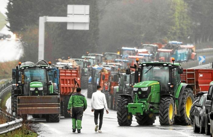 “If we are not heard, we are not going to laugh”: Breton farmers keep up the pressure