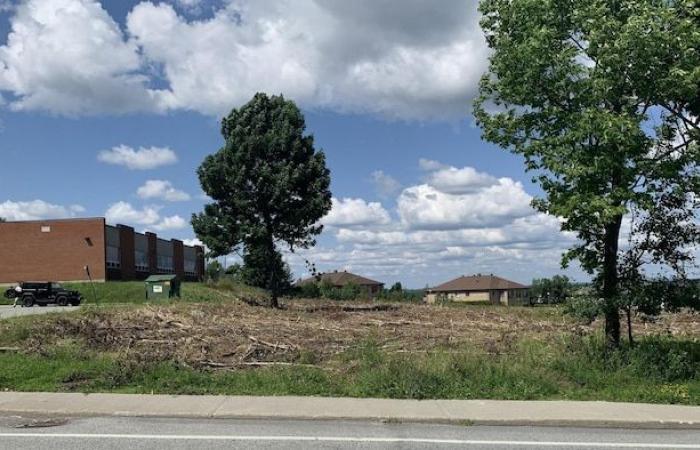 $50,000 in fines for trees cut without a permit in Sherbrooke