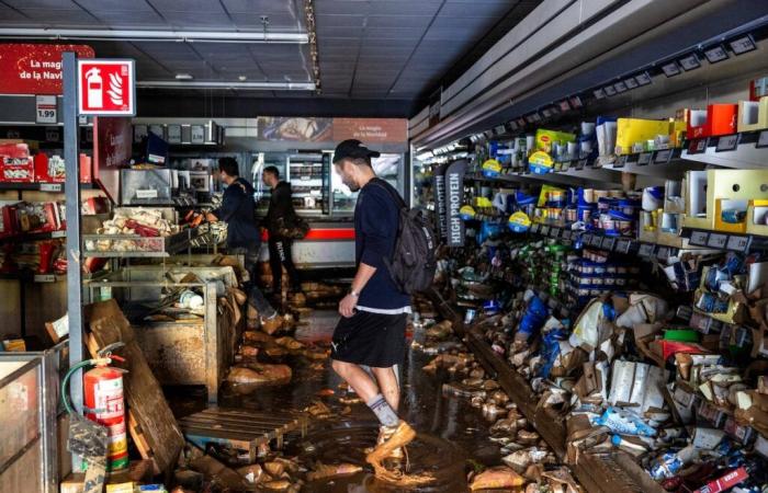 A dawn of looting, floating cars and 12 dehydrated horses in the Alfafar commercial estate | Spain