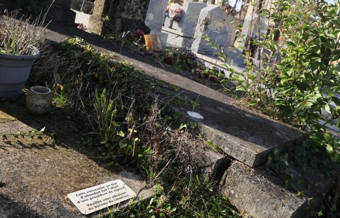 will cemeteries soon run out of space?