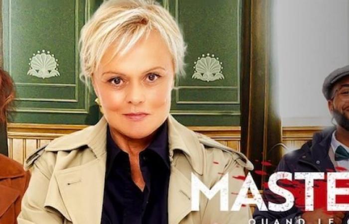 Prime Audiences: Master Crimes with Muriel Robin dominates the evening on TF1 with more than 3.2 million – Sinking of Claire Chazal’s “Grand Echiquier” on France 2 with less than a million viewers