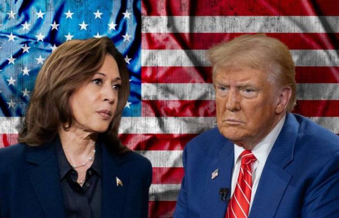 Trump or Harris in the US election: survey expert gives result forecast