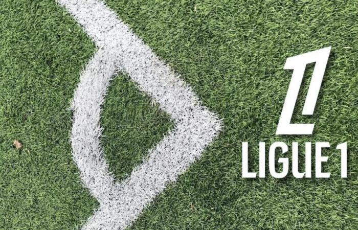 LOSC – OL: the not-to-be-missed offer to watch the match live on DAZN