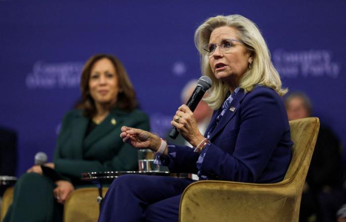 Trump conjures up image of firing squad for Liz Cheney