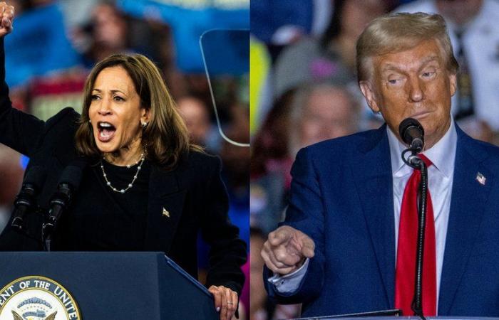 The most important “swing states” of the American presidential election: why is everything likely to be played out in Pennsylvania for Trump and Harris?