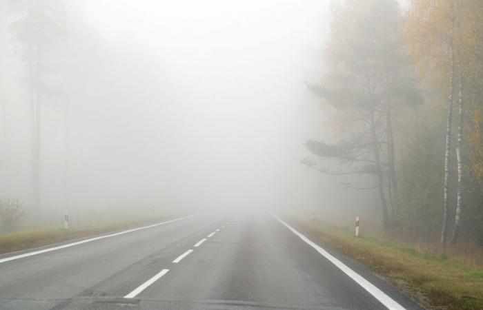 Weather forecast: will the fog give way to clearings?