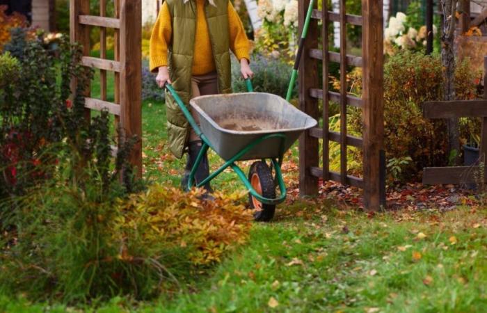 My 11 Favorite Tools for Fall Yard Clean-Up