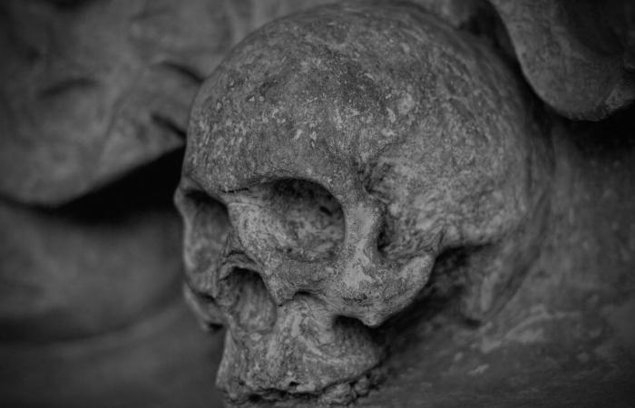 A human skull more than fifty years old discovered in a garage