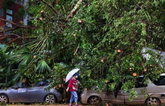 Taiwan: Typhoon Kong-rey leaves 2 dead and more than 500 injured