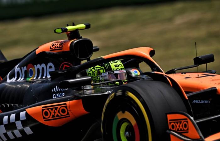 F1 Brazil – EL1: Lando Norris shines in Sao Paulo, Max Verstappen well behind