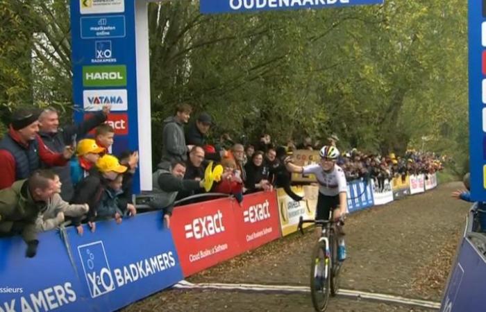 Cycling. Cyclo-cross – Fem Van Empel wins solo on the Koppenbergcross