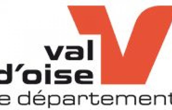 Deputy Director of Departmental Roads F/M DEPARTMENT OF VAL D'OISE Val-d'Oise Permanent, Contractual