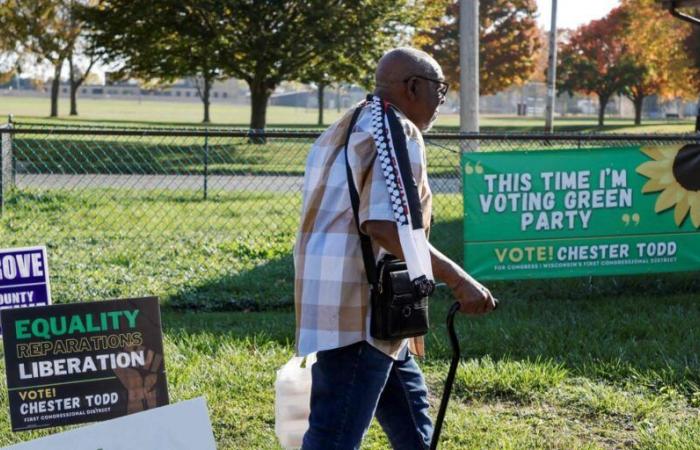 European Greens call on candidate Jill Stein to step down in favor of Kamala Harris