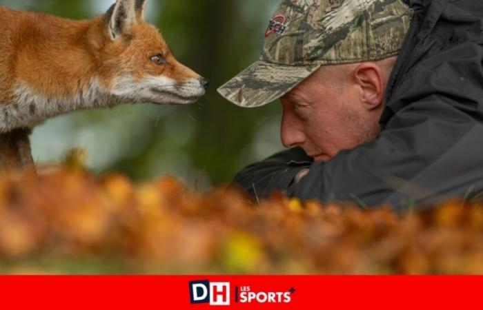 Moving face to face between Maxime Bachely, wildlife photographer from Maubray, and a fox