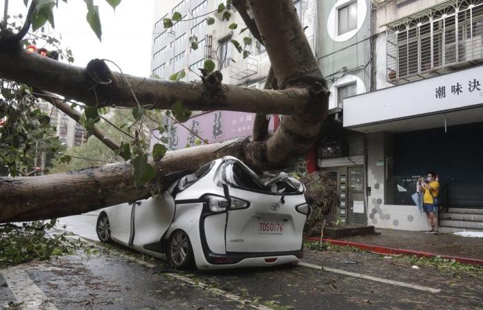 Taiwan | Two dead and 580 injured after typhoon Kong-rey