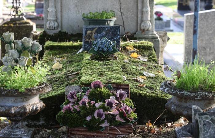 will cemeteries soon run out of space?